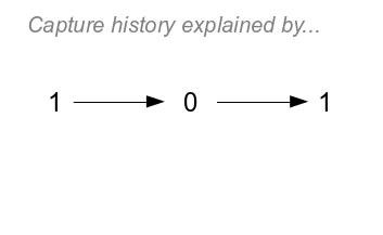 101