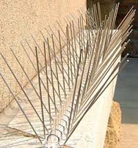 Bird spikes