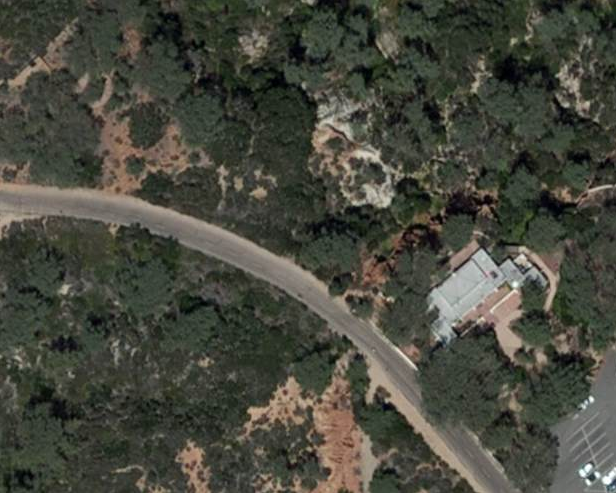 Trees shrubs